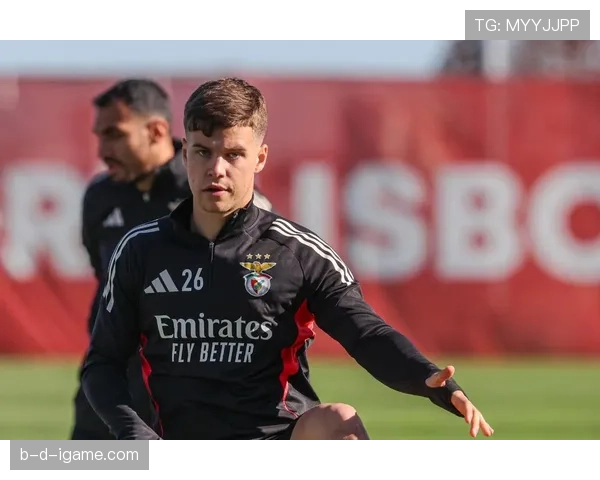 本菲卡新赛季阵容深度解析：青春风暴与老将经验完美融合