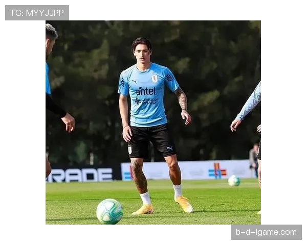 乌拉圭队控球战术焕然一新，赛场表现惊艳引关注